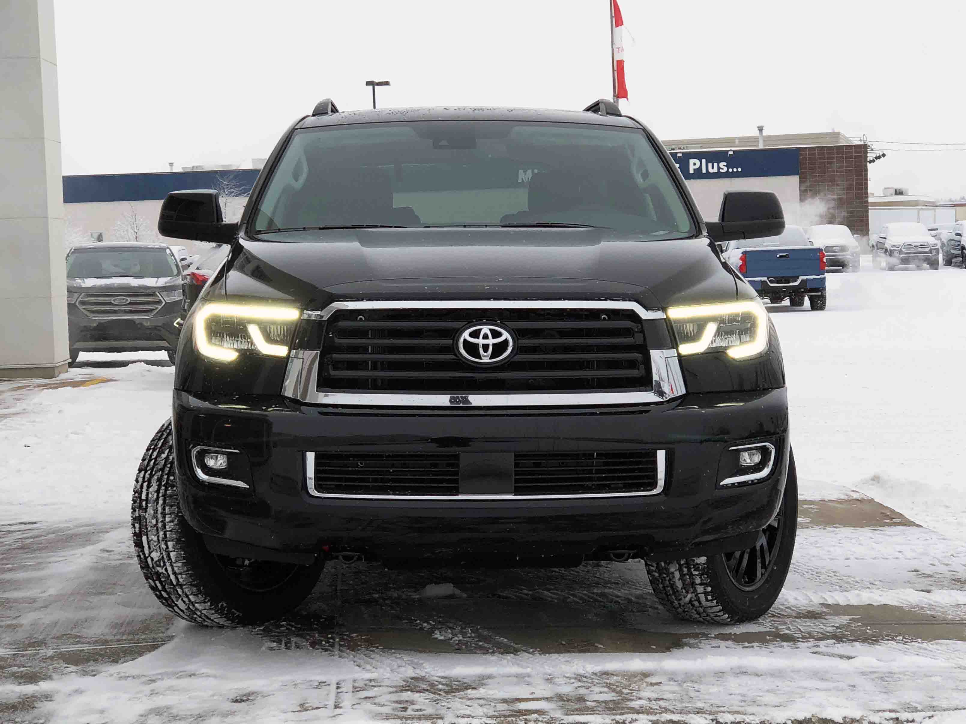 New 2019 Toyota Sequoia TRD Sport SUV 4WD in Grande ...